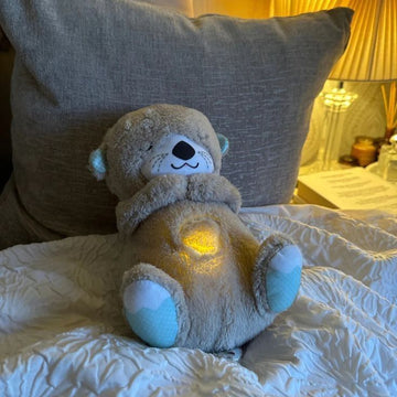 Soft Plush & Sensory Toys