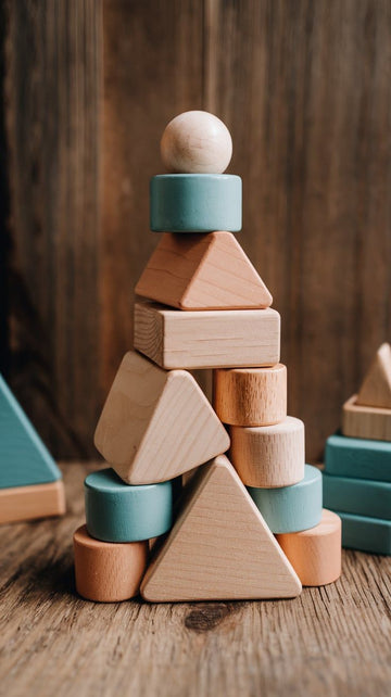 Montessori Learning Toys